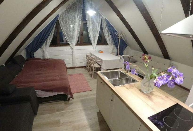 غرفة قياسية, W Dolinie Sanu