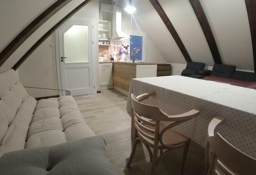 غرفة قياسية, W Dolinie Sanu