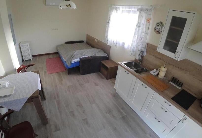 غرفة قياسية, W Dolinie Sanu