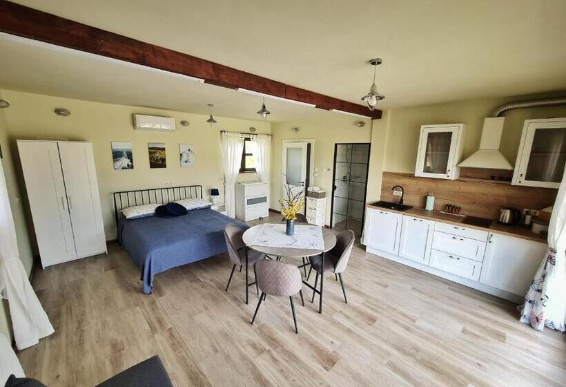 غرفة قياسية, W Dolinie Sanu