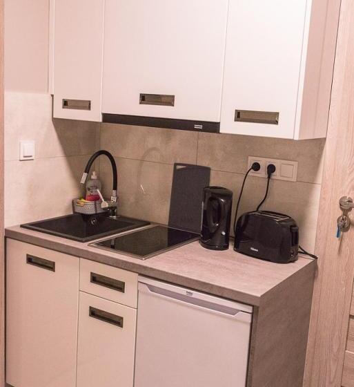 חדר סטנדרט נוף לאגם, Willa Borowski