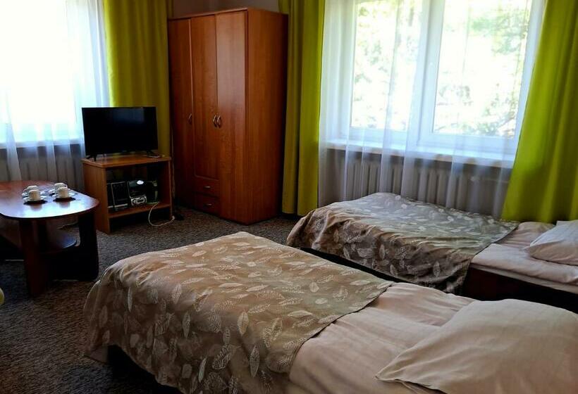 اتاق استاندارد, Willa Zimowit W Wiśle