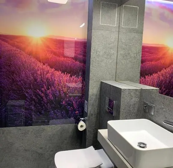 デラックスルーム, Apartamenty Elitmat