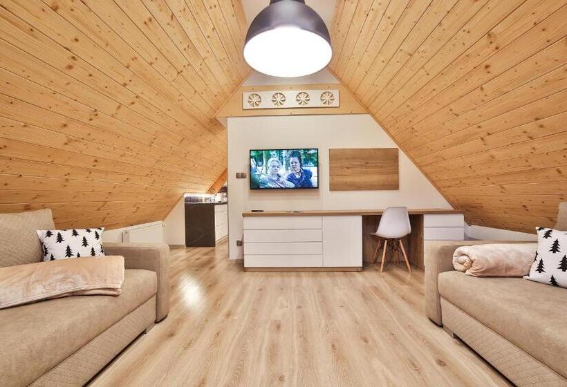 آپارتمان لوکس 1 خوابه, Apartamenty Kościelisko