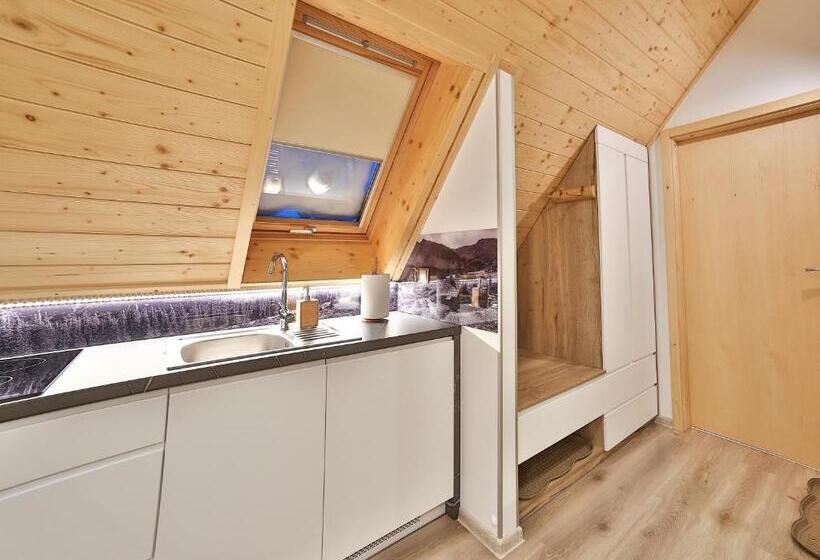 آپارتمان لوکس 1 خوابه, Apartamenty Kościelisko