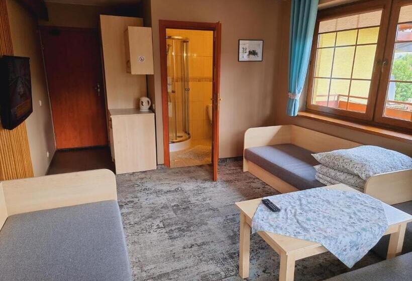 اتاق استاندارد چهار تخته, W Zakopanem Hej