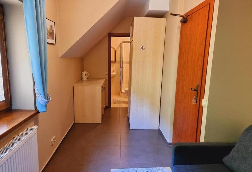 اتاق استاندارد, W Zakopanem Hej