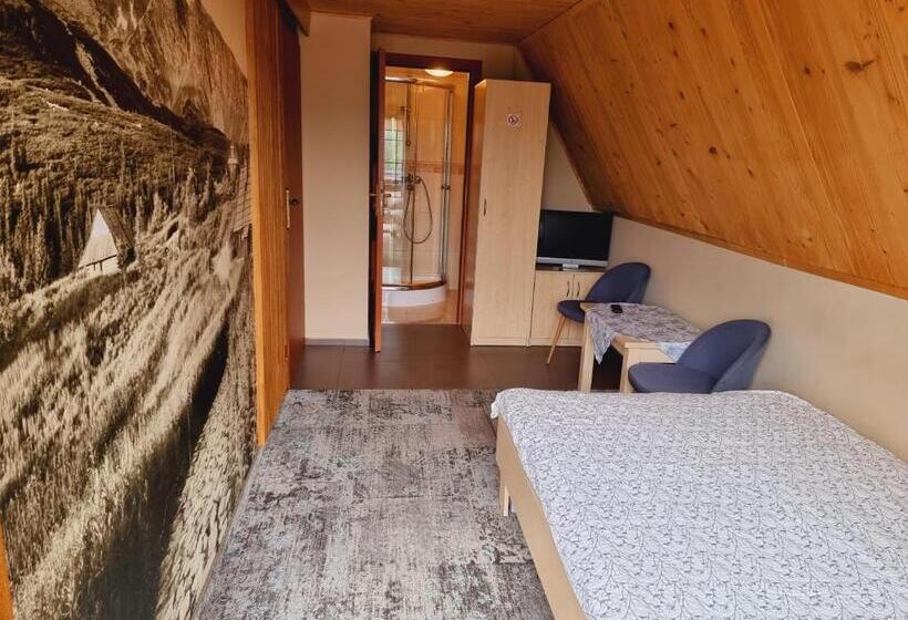 اتاق استاندارد با چشمانداز کوهستان, W Zakopanem Hej