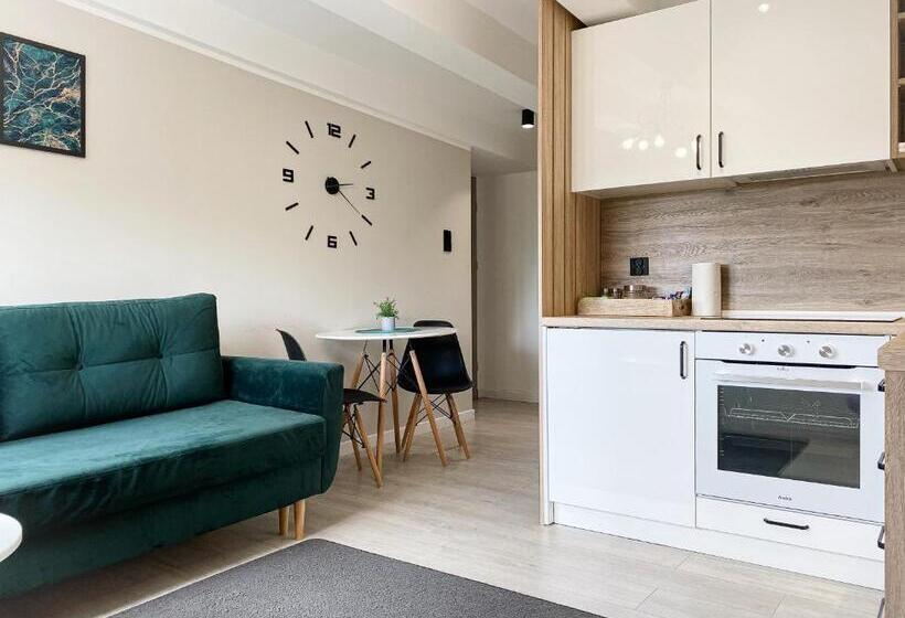 آپارتمان سوپریور 1 خوابه, Bp Apartment Vi