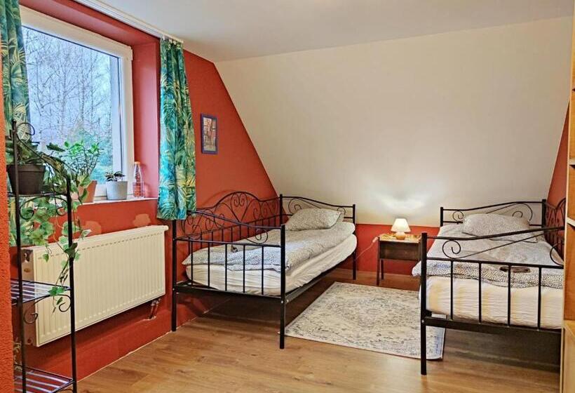 استودیوی استاندارد, Agroturystyka Dowoli