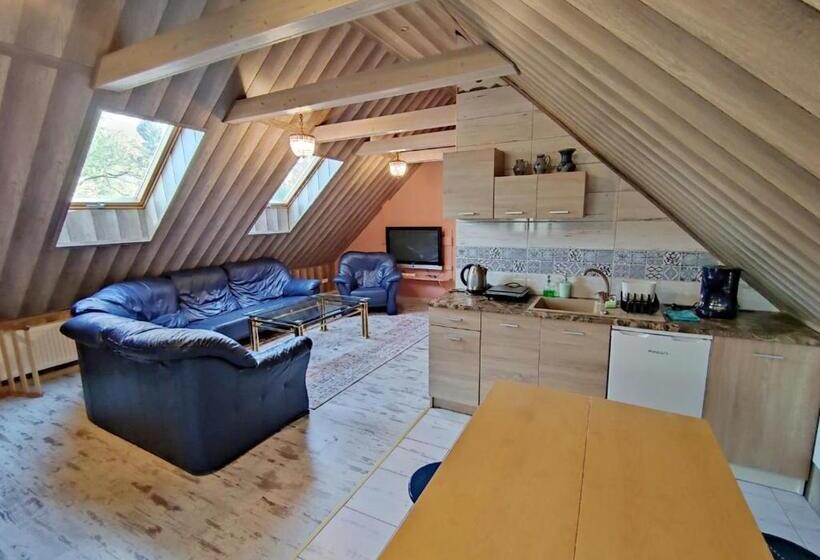 استودیوی استاندارد, Agroturystyka Dowoli