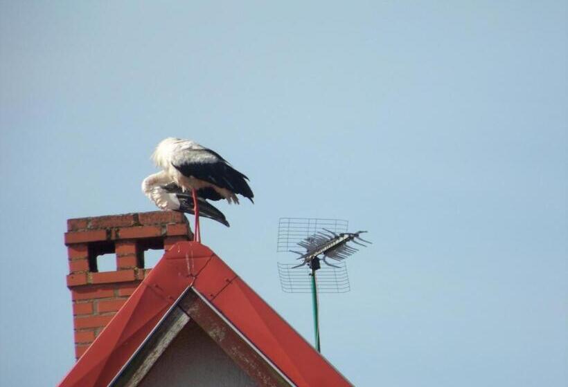 패밀리 스튜디오, Agroturystyka Ranczo Na Mazurach