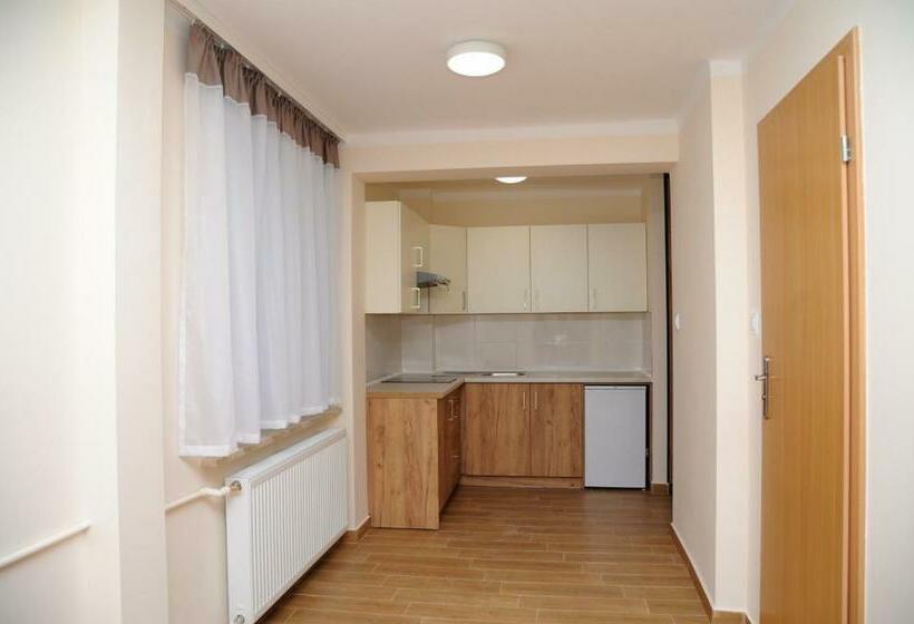 شقة غرفة واحدة, Orion