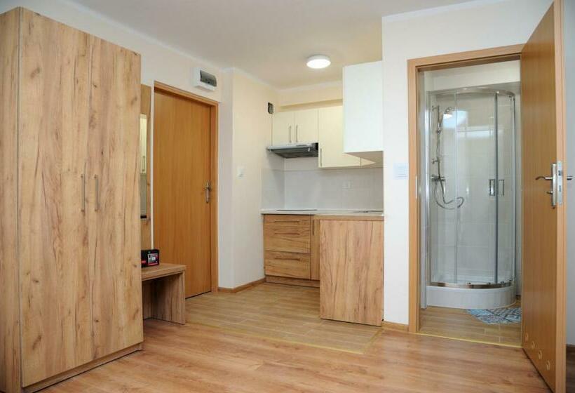 شقة غرفة واحدة, Orion