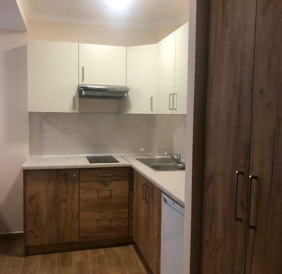 شقة غرفة واحدة, Orion