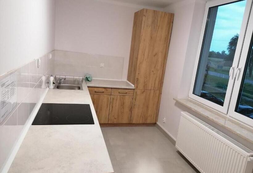 إستوديو قياسى, Orion