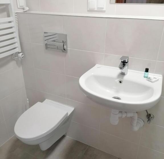 غرفة قياسية فردية, Orion