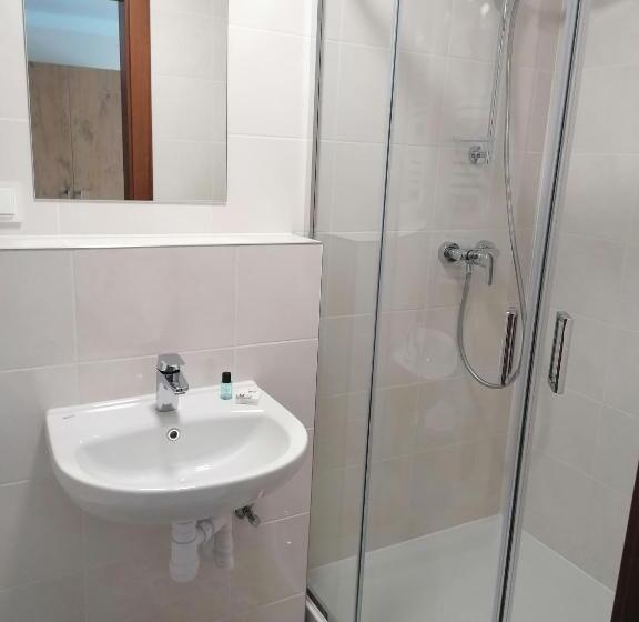 غرفة قياسية فردية, Orion