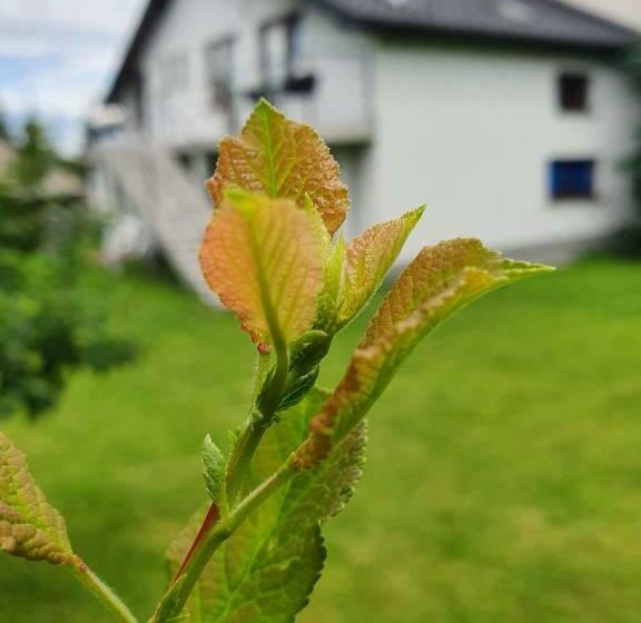 スタンダード４人部屋, Pokoje Przy Zamku