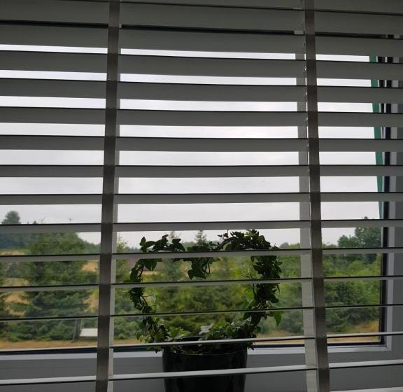 חדר סטנדרט חדר אמבטיה משותף, Pokoje Przy Zamku