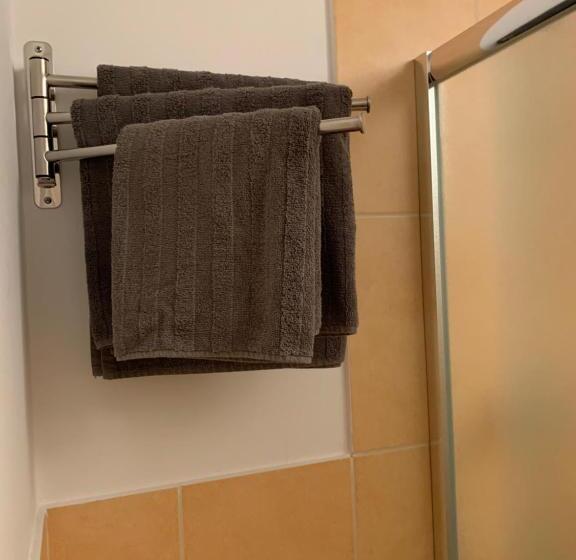 דירת חדר, Sarnia Polana