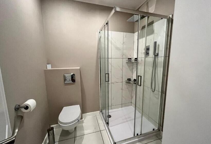 דירת חדר, Sarnia Polana