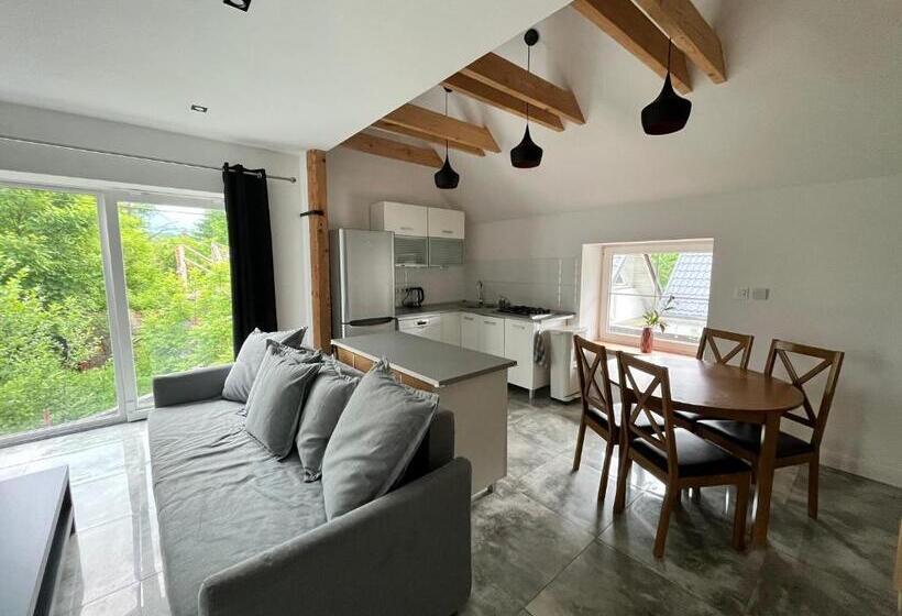 דירת חדר, Sarnia Polana