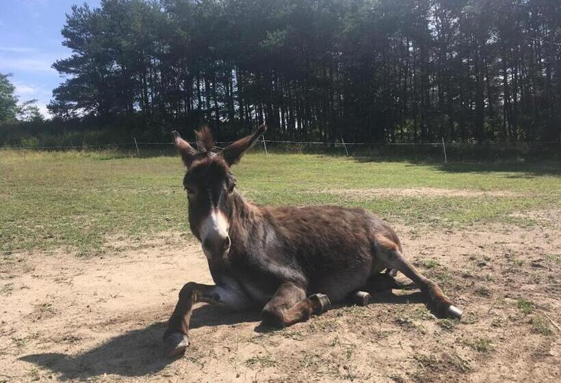 Семейный Номер, Toskania Kociewska
