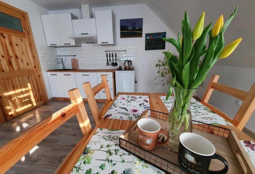 带1个卧室的公寓, Mtk Pokoje I Apartamenty