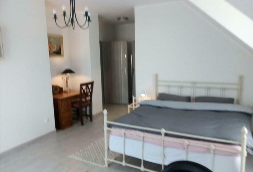 テラス付きスタンダードルーム, Willa Brodnica