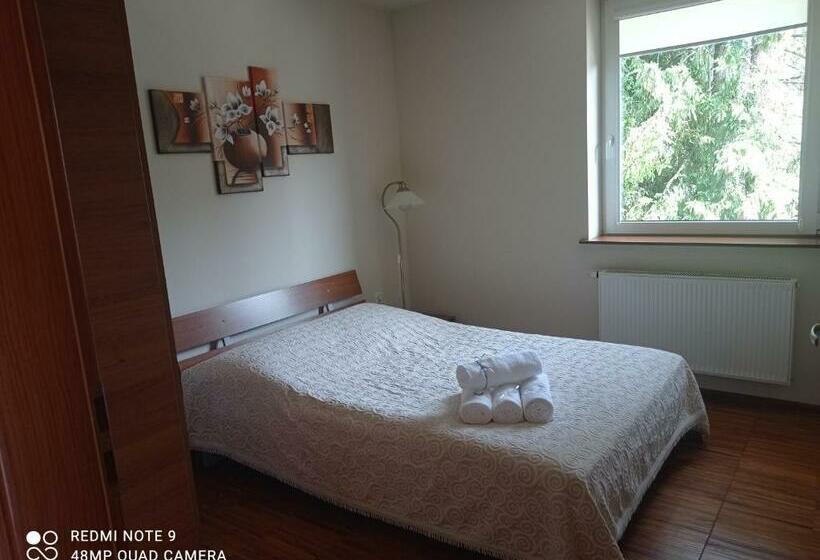 Четырехместный Номер Стандарт, Zawoja1560 Apartamenty Przy Aptece