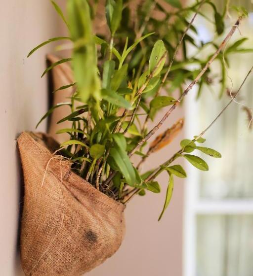 اتاق استاندارد, Mantenga Lodge