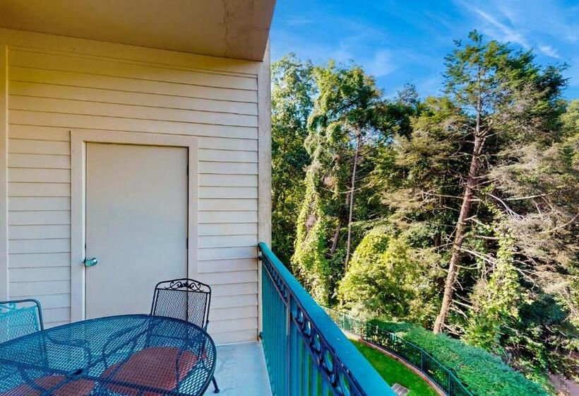 דירת שני חדרים, Summit Manor Condominiums