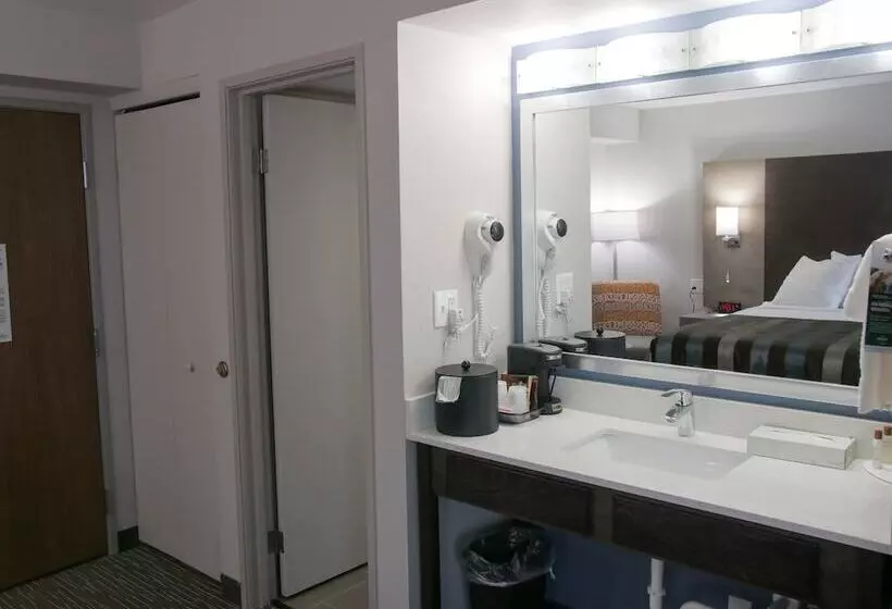 デラックスルーム, Wingate By Wyndham Louisville Airport Expo Center