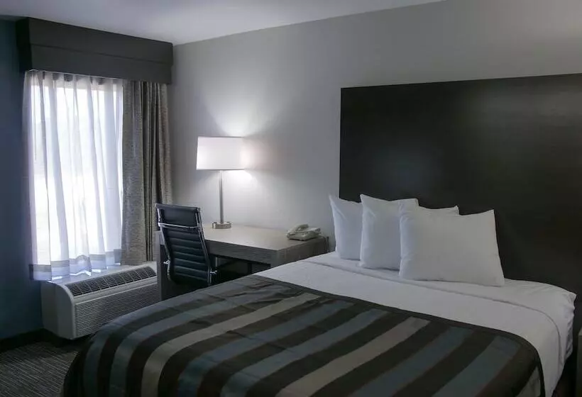 デラックスルーム, Wingate By Wyndham Louisville Airport Expo Center