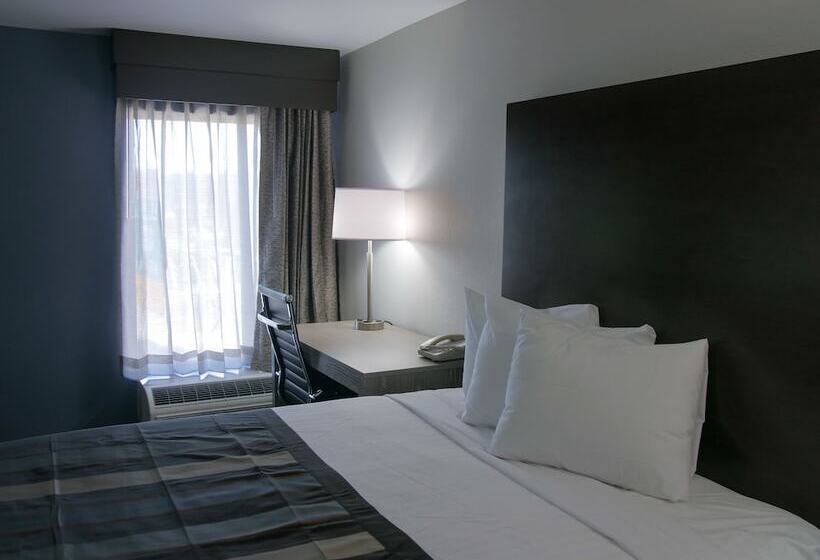 غرفة ديلوكس, Wingate By Wyndham Louisville Airport Expo Center