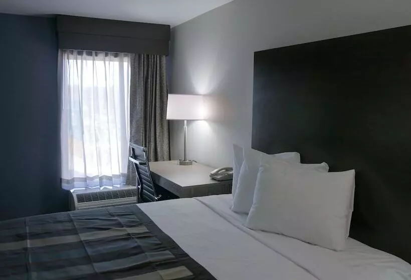 デラックスルーム, Wingate By Wyndham Louisville Airport Expo Center