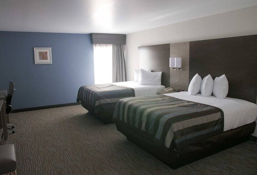 غرفة ديلوكس, Wingate By Wyndham Louisville Airport Expo Center