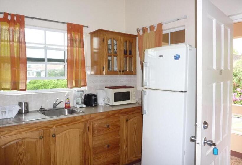 آپارتمان لوکس 1 خوابه, La Heliconia & Day Spa