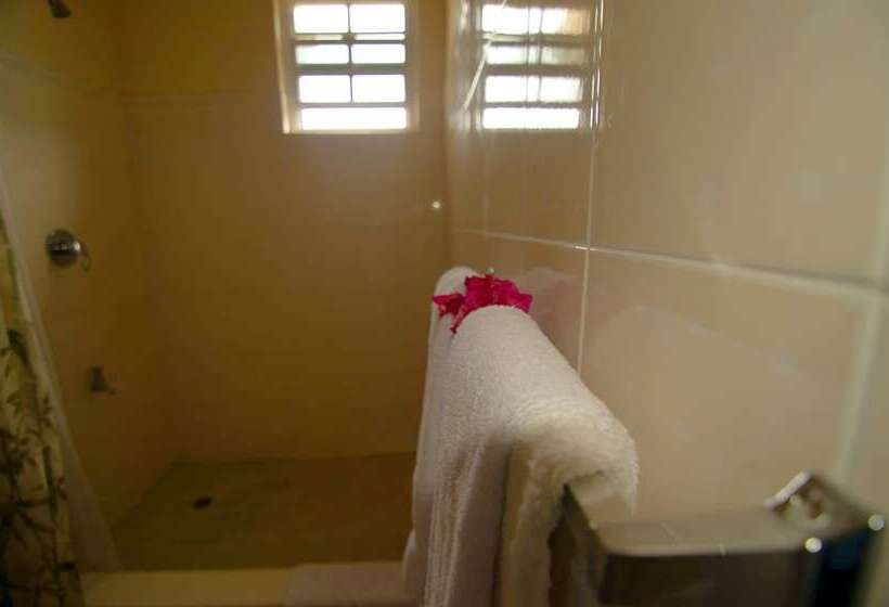 آپارتمان 1 خوابه, La Heliconia & Day Spa