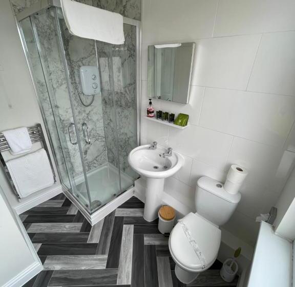 Номер Стандарт, The Whittington And Cat