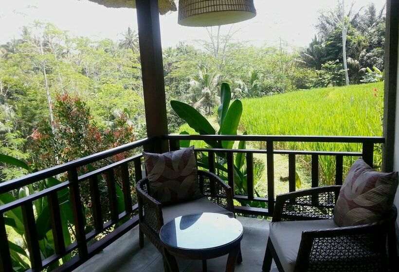 וילת 3 חדרי שינה עם בריכה, Villa Amrita