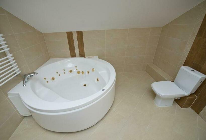 Номер Стандарт, U Hołosia