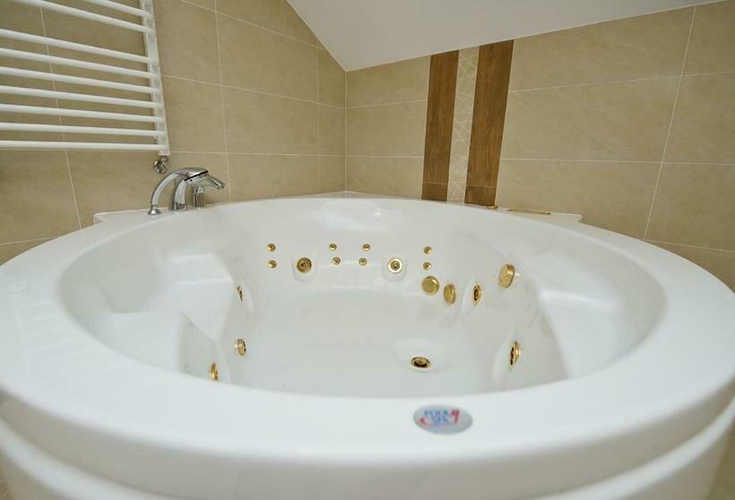 Номер Стандарт, U Hołosia