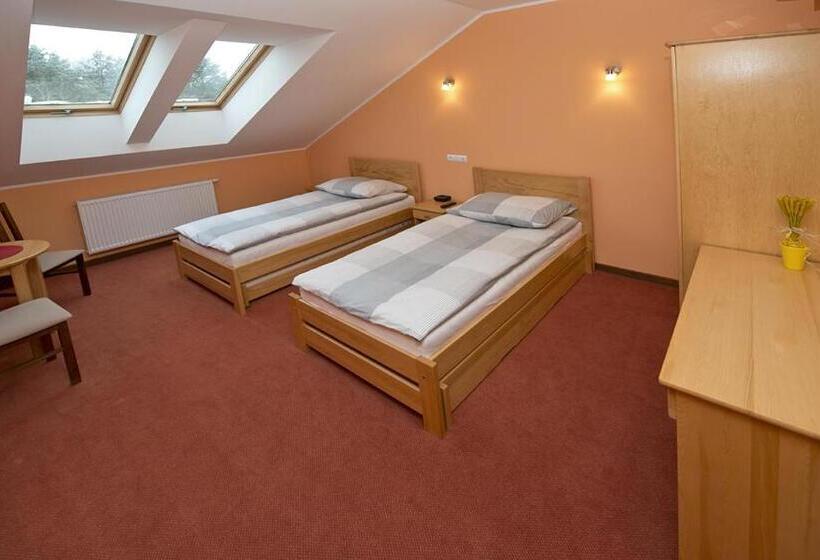 Номер Стандарт, U Hołosia