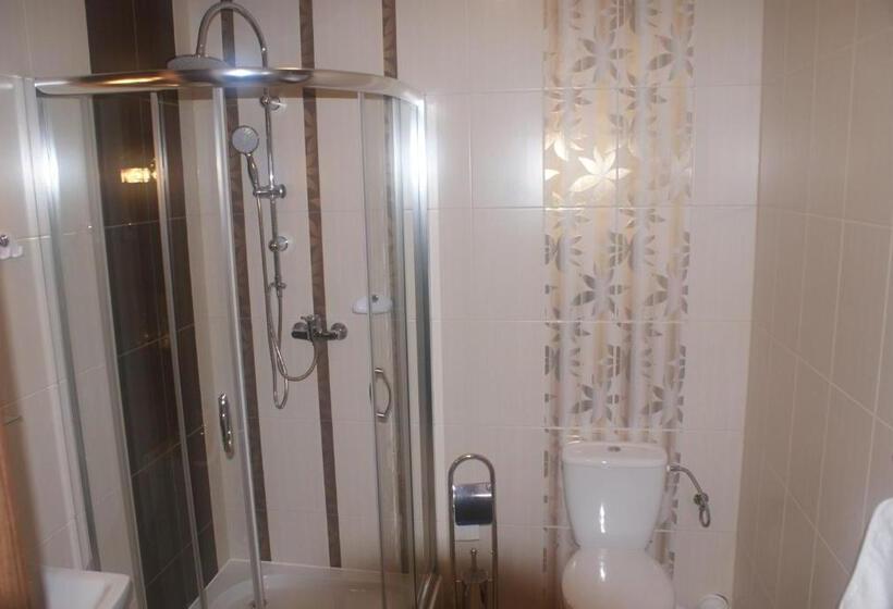 Номер Стандарт, U Hołosia