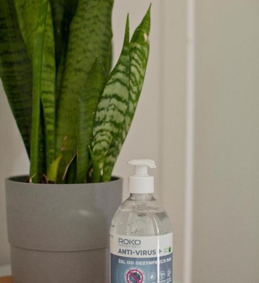 四人标准间, Hostel 33