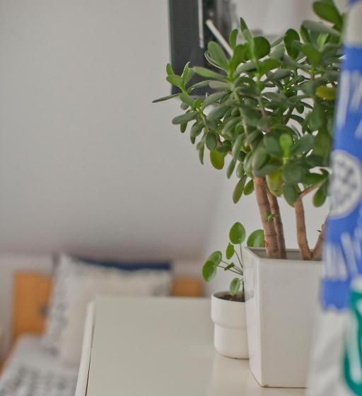 标准三人间, Hostel 33