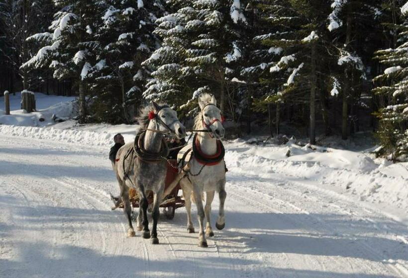 فيلا غرفة نوم واحدة, Baza Grapa Dom Pokoje Do Wynajęcia