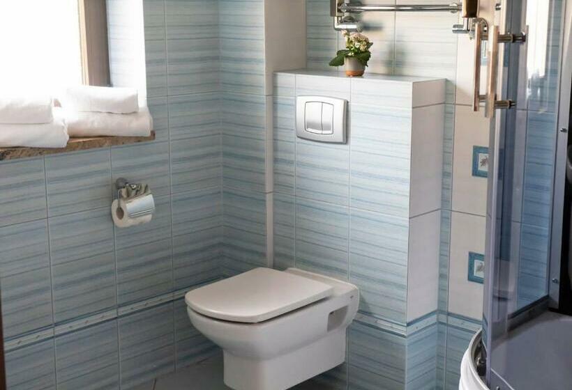 חדר סטנדרט יחיד, City Park Barlinek